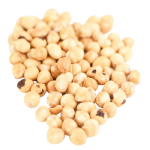 SILVAREM Lieskové orechy pražené - "Taliansko", 1kg