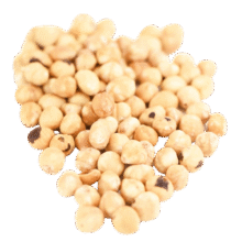 SILVAREM Lieskové orechy pražené - "Taliansko", 1kg