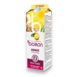 BOIRON 100% ovocné pyré - Ananás, 1l